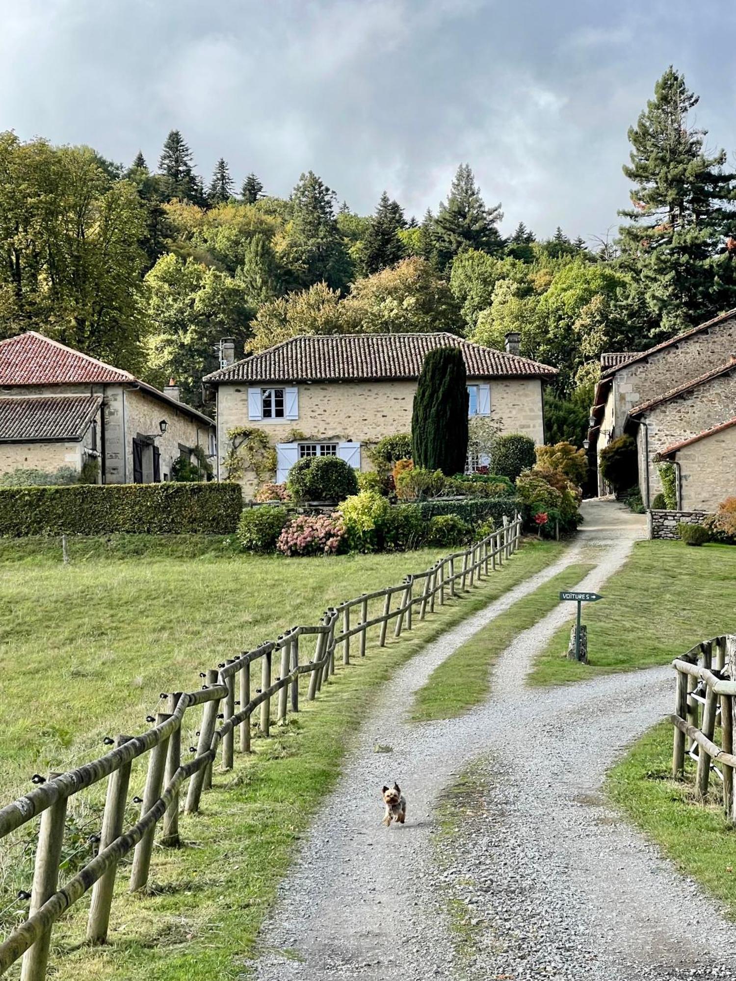 Domaine De Montmery Sa Piscine Son Jardin Ses Espaces Ambazac Exterior foto